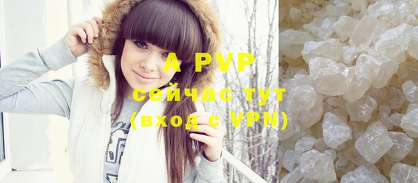 ПСИЛОЦИБИНОВЫЕ ГРИБЫ Рославль