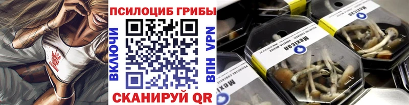 Купить закладки  Южно-Сахалинск  Галлюциногенные грибы мицелий 